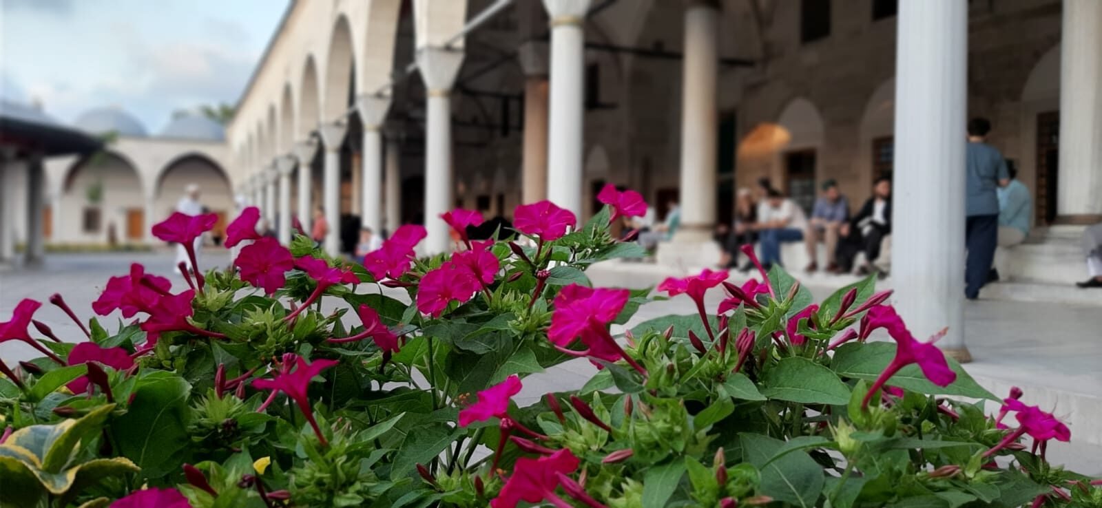 The mosque courtyard
